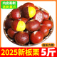 中鮮生2025年新貨現(xiàn)摘云南新鮮板栗生板栗油板栗子時令新鮮蔬菜 新鮮板栗 1斤 【精選大果】