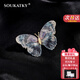 SOUKATKY【教師節老師禮物】輕奢品牌胸針高檔女胸花精致別針送老婆女友蝴蝶胸針【次日達】