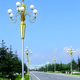 玉蘭燈大型庭院景觀燈6米8米12米市政道路廣場(chǎng)照明高干中華燈廠家 中華燈10火6米定制