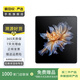 榮耀 折疊屏 Magic V/V Filp/V2/3/vs/vs2/vs3系列二手手機國行優(yōu)惠券補貼 顏色內(nèi)存參考質(zhì)檢報告 榮耀 Magic Vs3