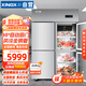 星星（XINGX）四門全冷凍風(fēng)冷冰箱后廚食堂廚房冰箱四門冰柜全冷凍廚房不銹鋼冰柜 BD-860FA（風(fēng)冷）