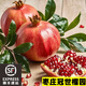 新鮮現(xiàn)摘山東棗莊冠世榴園薄皮甜石榴嶧城特產(chǎn)馬牙突尼斯石榴水果 5斤 優(yōu)選 特大果【不帶禮盒】 單果爆甜7-8