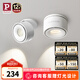 Paulmann P德國柏曼護(hù)眼嵌入式射燈折疊洗墻免打孔可調(diào)角度防眩無主燈 【射燈】7W-4000K-46°