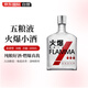 五糧液（WULIANGYE）火爆小酒 58度 100ml 2019年老酒 輕輕有磨損 海外版
