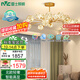 雷士（NVC）客廳吊燈分子燈北歐星光創(chuàng)意幾何現(xiàn)代輕奢高顯智能WHDD115F/G-01