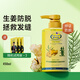 琴葉生姜系列防脫洗發(fā)水強根固發(fā)姜汁洗發(fā)露滋潤去屑控油男女家庭裝 生姜防脫發(fā)洗發(fā)水450ML持證防脫