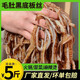 沛菡新鮮毛肚邊角料牛肚千層百葉碎牛百葉底板5斤涮火鍋食材 5斤裝毛肚短底板絲（凈重80％）