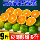融鮮云南蜜橘薄皮橘子青皮桔子酸甜可口時(shí)令水果當(dāng)季現(xiàn)貨現(xiàn)摘 整箱5斤丨凈重4.5斤 手挑果