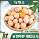 新鮮現(xiàn)撿農(nóng)家五谷喂養(yǎng)散養(yǎng)初生土雞蛋40±5g 12枚裝