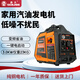 森久汽油發(fā)電機220v家用小型數碼變頻駐車(chē)戶(hù)外野營(yíng)房車(chē)手提便攜迷你充 【3000W】電啟（高性?xún)r(jià)比）