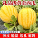 赤金西瓜 黃皮西紅壤西瓜 金皇后薄皮脆甜麒麟西瓜送人禮品級水果 1顆 單顆精選7-8斤