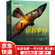【京東快遞】山居歲月三部曲兒童版六年級(jí)課外書必讀上冊(cè)書珍·克雷赫德·喬治中文版兒童文學(xué)獎(jiǎng)金獎(jiǎng)?wù)鏁晖?山居歲月_新蕾出版社