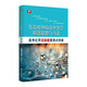 更高更妙的高中化學(xué)解題思想與方法——高考化學(xué)壓軸題重難點(diǎn)突破