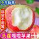 顧果鮮正宗嘎啦蘋(píng)果新鮮當(dāng)季孕婦水果現(xiàn)摘脆甜青紅富士小蘋(píng)果冰糖丑平果 9斤大果【70mm+】?jī)糁?.5斤