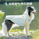 MIKI PAD大狗狗涼涼衣夏天防曬涼感衣服金毛邊牧中大型犬寵物薄款透氣背心 薄荷藍(lán)【經(jīng)典款】涼感防曬 3XL胸圍70cm（參考體重23-36斤）
