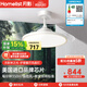 月影林之光護(hù)眼臥室餐廳吊燈【政府補(bǔ)貼】超薄靜音隱形風(fēng)扇燈中山燈具 【舒爽風(fēng)】白/42寸/無極調(diào)光/2代