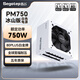 鑫谷（segotep）電源650W/750W/850W/1000W/1250W 臺(tái)式機(jī)GM/PM系列金牌全模組組裝電腦電腦主機(jī)模組電源 PM750W冰山版白金牌全模組電源ATX3.1