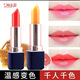 七柚小屋胡蘿卜素變色唇膏變色口紅保濕滋潤唇膏補水不易沾杯脫色防水滋養 【胡蘿卜素+櫻桃紅】共2支