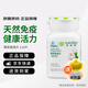 安利Amway紐崔萊大蒜片高濃縮素精油提升男女免疫力紐崔萊薄荷香蒜片 薄荷香蒜片110片