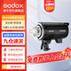 神牛（Godox） DP600/800IIIW三代閃光燈大功率室內攝影燈影棚拍攝人像靜物電商補光燈套裝 DP600三代 官方標配