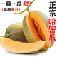 秋穎正宗海南哈密瓜10斤新鮮水果疆西州蜜瓜25號生鮮瓜一整箱甜瓜包郵 帶箱9斤精選裝