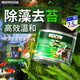 百因美（BIOZYM）魚池除藻劑粉劑魚缸除清苔不傷魚錦鯉消化細菌戶外池塘除苔滅綠藻 錦鯉魚池除藻去苔劑 500g【高效安全】