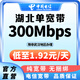 中國電信（CHINA TELECOM）湖北電信寬帶辦理100-300M寬帶套餐 非武漢單寬帶包年 [非武漢]300M單寬帶包1年（含調測費）