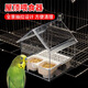 比普樂新款鸚鵡屋頂透明喂食器防濺灑鸚鵡洗澡盆外掛食盒虎皮玄鳳飼料盒 【屋頂喂鳥器（白色）】 全景抽拉設(shè)計透明觀賞方便清理 【一房多用-空間寬敞-螺絲固定】