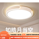 歐普臥室燈全光譜高亮led吸頂燈簡(jiǎn)約現(xiàn)代客廳主臥房間燈感輕奢燈具 圓形40厘米48瓦高光