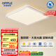 歐普（OPPLE）吸頂燈智控調(diào)光LED照明燈具全光譜智慧光方臥品見4白包安裝