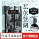 【上書口刷銀】瓦爾登湖 插圖珍藏版 自然隨筆之父梭羅代表作 翻譯名家孫致禮 自然極簡隱居 版畫 經(jīng)典插圖名著 文學散文書籍 后浪正版