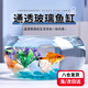 茨格曼玻璃魚缸圓形辦公桌魚缸一體缸迷你小魚缸烏龜玻璃鋼小型金魚缸* 特大號玻璃魚缸【肚徑30*高14*口徑23cm】