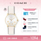 蔻馳（COACH）CARY系列經(jīng)典C標皮帶快樂C石英手表女表14504305 七夕禮物/送禮