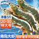 三只海豚 國產(chǎn)青島大蝦 特大號白蝦 20/30規格 凈重3斤盒裝 活蝦速凍蝦類(lèi)
