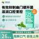 華熙當康225億益生菌香草薄荷口香爆珠清新口氣口臭異味滋潤口腔胃腔3盒