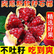 櫻鮮突尼斯軟籽石榴四川會(huì)理甜紅石榴應(yīng)季當(dāng)季新鮮時(shí)令水果中秋節(jié)禮盒 凈重8-9斤單果200-250g