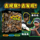當當正版 博物大發(fā)現：找找看 全3冊 科普頂流無窮小亮聯合 昆蟲攝影師 唐志遠 博物天團領隊 兒童科普讀物 小學生課外書 【3冊】博物大發(fā)現：找找看