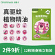 綠鼻子（green nose）驅蚊貼 防蚊基孔肯雅熱驅蚊防叮咬 12枚裝 草莓熊