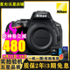 尼康(Nikon) 單機相機D5600套機 尼康d5600二手單反相機 D5600單機身（不含鏡頭） 99新