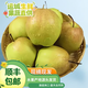 【2025年新梨】正宗丹霞紅梨現(xiàn)摘脆甜細(xì)膩多汁當(dāng)季新鮮水果包郵 【順豐包郵】帶箱5斤