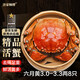 【活蟹】漁家師傅大閘蟹3.0-3.3兩8只去繩足重鮮活螃蟹六月黃現貨生鮮水產(chǎn)禮盒源頭直發(fā)
