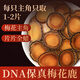 半山農(nóng) 鹿茸 梅花鹿鹿茸片全蠟片5克 男性泡酒藥材 送長(zhǎng)輩滋補(bǔ)營(yíng)養(yǎng)品