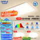 歐普（OPPLE）照明LED吸頂燈客廳書房臥室全光譜智慧光高顯色燈具燈飾云幕4TC 全光譜A1【兩室一廳-3燈】