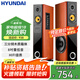 HYUNDAI現(xiàn)代 電視電腦k歌音響組合設(shè)備家庭影院家用KTV點(diǎn)歌機(jī)藍(lán)牙低音炮大功率落地有源音箱 【318-90】三分頻雙8吋重低音
