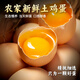 耕果妙無(wú)抗鮮雞蛋20枚2斤谷物鮮雞蛋農(nóng)家土雞蛋 源頭直發(fā) 包郵