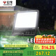公牛（BULL）LED投光燈戶外路燈庭院燈廣告牌燈露營燈 IP65防水200W-6500K白光