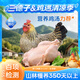 三德子好甄選壯年老母雞 凈重1.8-2.4斤 山地散養(yǎng)350天走地雞肉生鮮月子雞湯