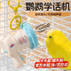 鸚鵡學話機學說話神器錄音機玄鳳八哥說話訓練喇叭學說話機復(fù)讀機 【鸚鵡學習機】黃色