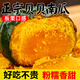 粵迎山東貝貝南瓜板栗味小南瓜香甜軟糯寶寶輔食美味早餐好吃粗糧南瓜 5斤 精選果【香甜粉糯】?jī)?.5斤