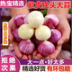 5斤優(yōu)惠裝云南紫皮獨(dú)頭蒜2025年新干蒜全曬干辛辣爽口富含大蒜素 5斤小果（凈重4.5斤起）